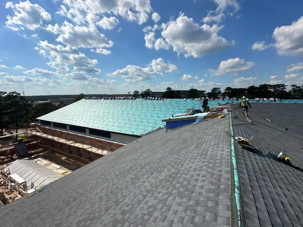 Commercial Gallery 7