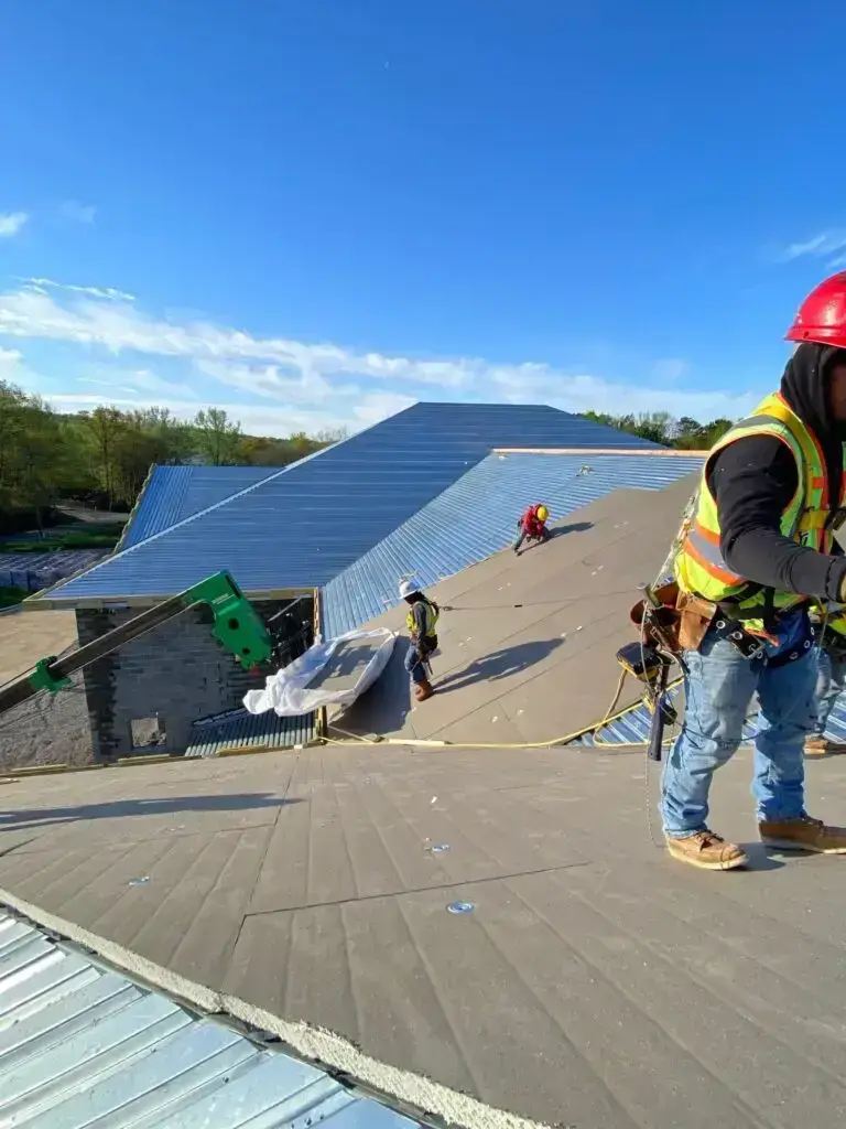 Commercial Gallery 31